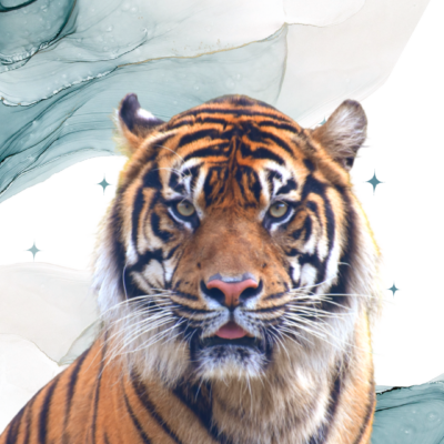 Tiger Jewel